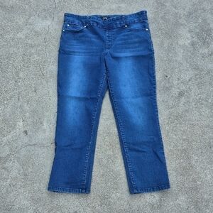 Rekucci Stretch Waist Straight Leg Jeans Sz 16P 5 Pockets Gently Loved